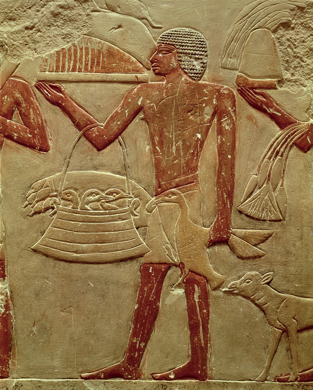 Relief retratando um porteiro com uma cesta de filhotes, do túmulo da princesa Idut, Old Kingdom, c.2330 aC (calcário pintado) de Egyptian 6th Dynasty