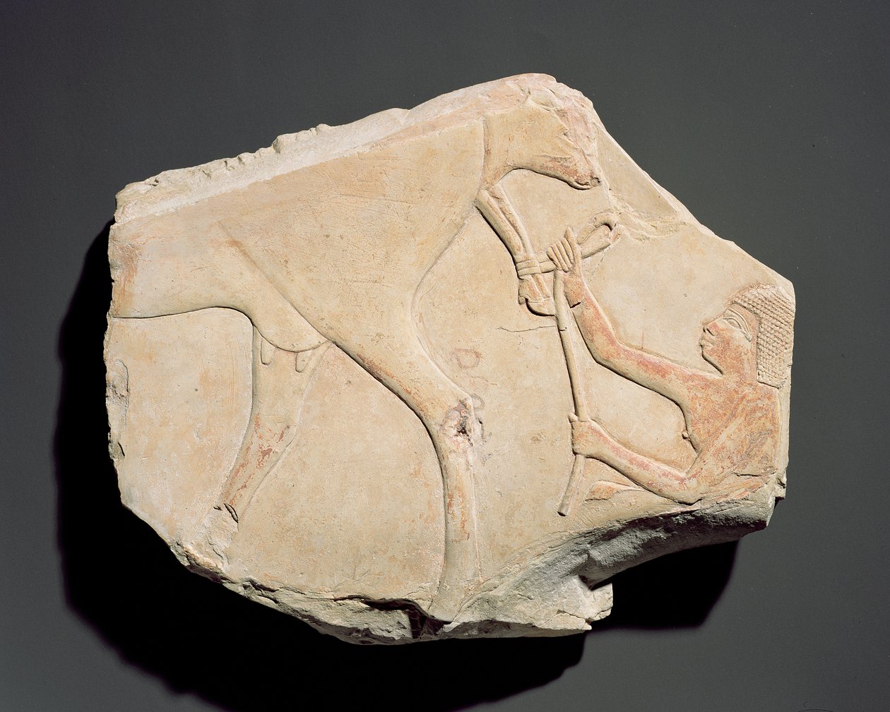 Fragmento de um relevo representando o nascimento de um bezerro, de Asasif, Tebas, Terceiro Período Intermediário (c.1069-664 aC) (calcário) de Egyptian