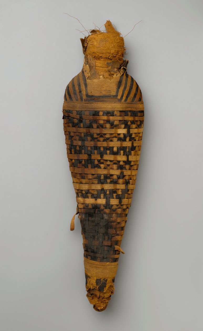 Múmia de um falcão (restos de animais e linho) de Egyptian