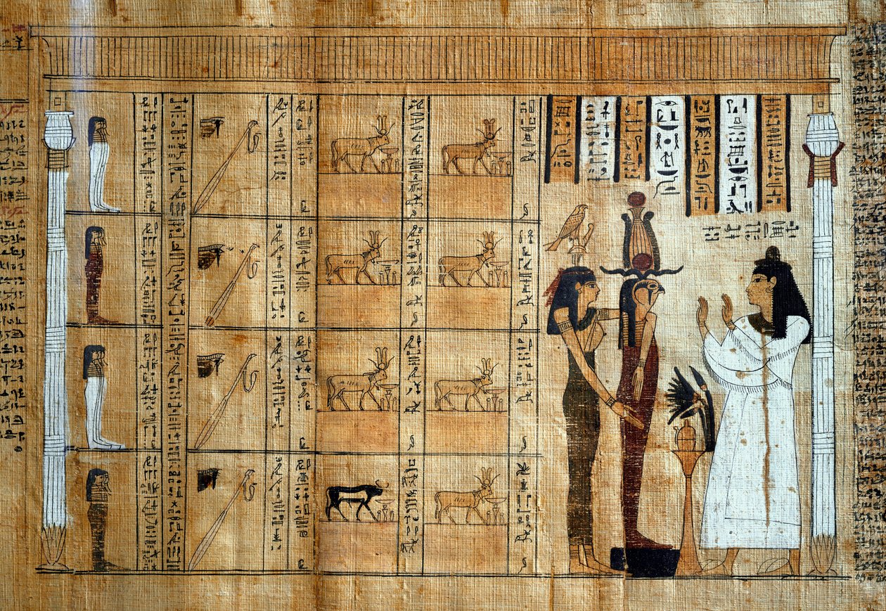 Imagem desconhecida de Egyptian