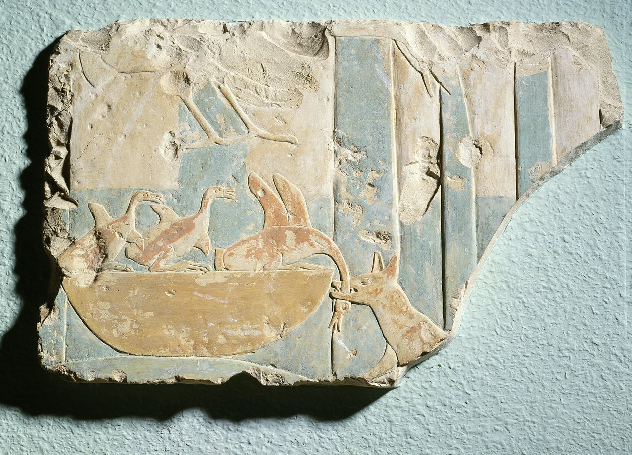 Relevo retratando uma invasão por um animal semelhante a um cachorro em um ninho de pássaros, do templo funerário do rei Montuhotep II, Reino do Meio (calcário pintado) de Egyptian 11th Dynasty