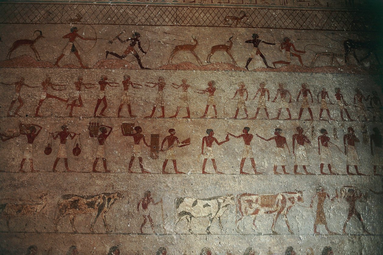 Necrópole Beni-Hasan. Túmulo de Amenemhat, detalhe: pinturas murais retratando cenas de caça e vida campestre de Egyptian 12th Dynasty