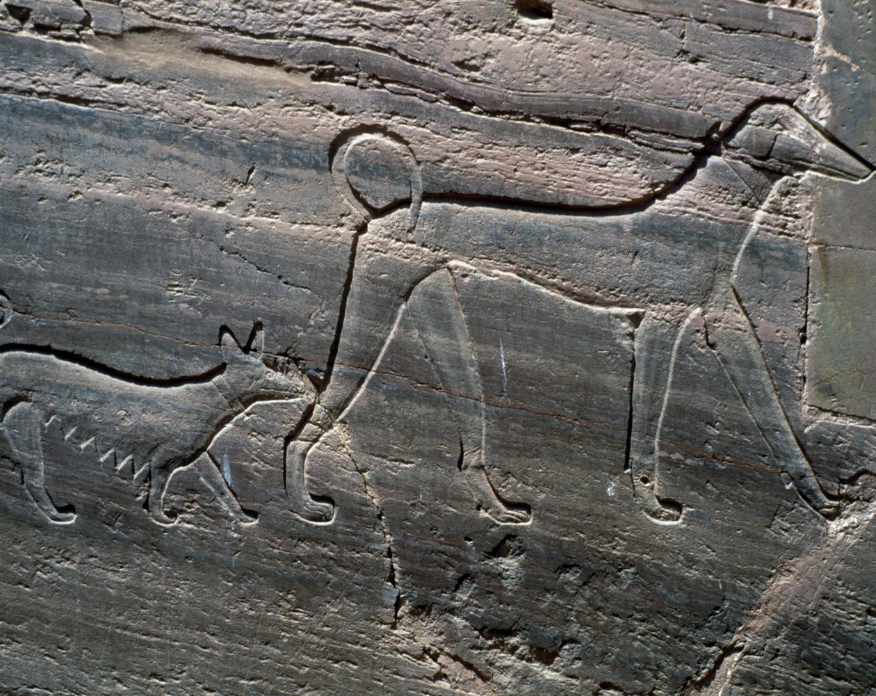 Casal de cães, relevo da entrada, Túmulo de Sarenput II, Túmulos de Príncipes, Qubbet el-Hawa, margem ocidental do Nilo em Assuão, Civilização Egípcia, Reino do Meio, Dinastia XII de Egyptian 12th Dynasty