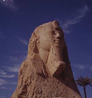 Esfinge de Alabastro, Novo Reino, provavelmente do reino de Amenhotep II, c.1450-1425 aC (ver também 59239) de Egyptian 18th Dynasty