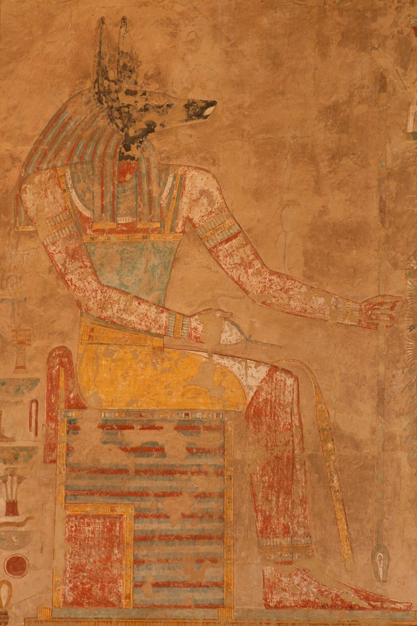Anúbis, o deus da morte do Templo Mortuário da Rainha Hatshepsut (c.1503-1482 aC) (calcário pintado) de Egyptian 18th Dynasty