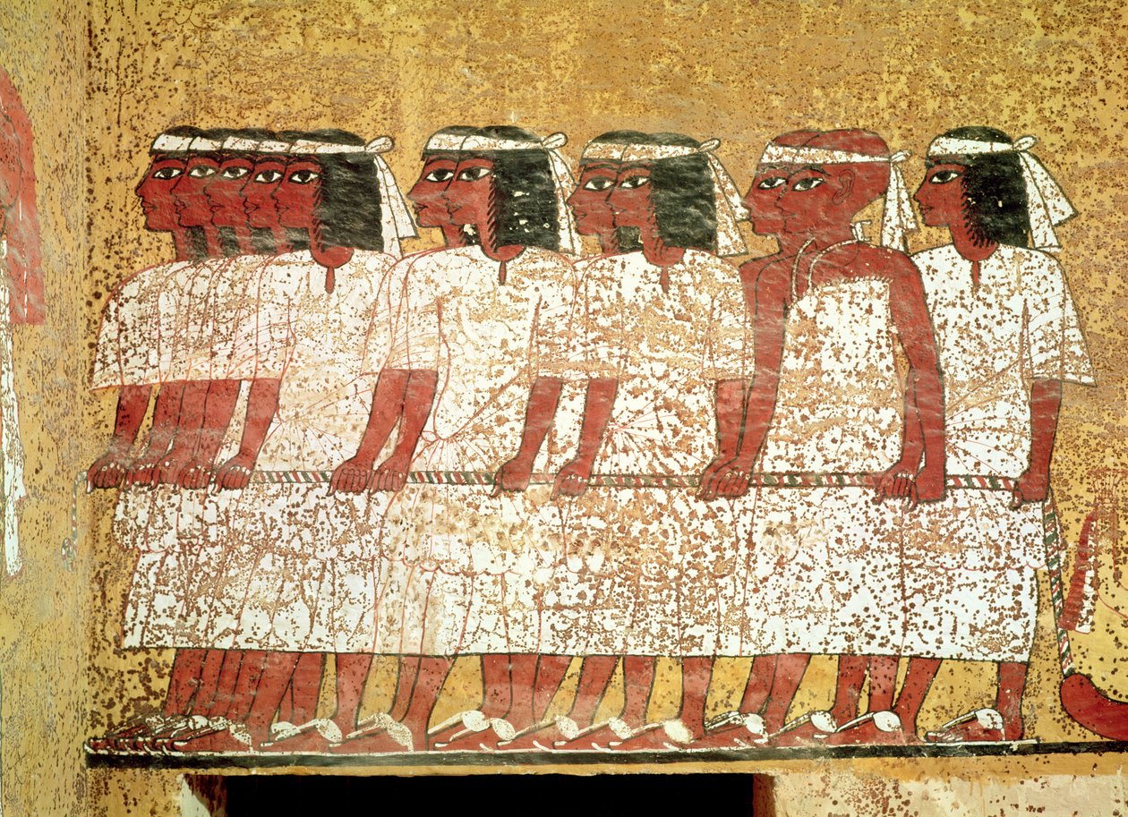 Cortege puxando o catafalque do Rei, do Túmulo de Tutankhamun (c.1370-52 a.C.) Novo Reino (pintura de parede) de Egyptian 18th Dynasty