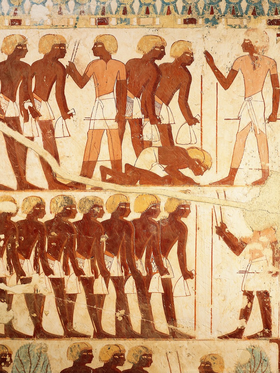 Detalhe dos afrescos de[icting the army receiving rations, from the Tomb of Userhat (TT56) de Egyptian 18th Dynasty