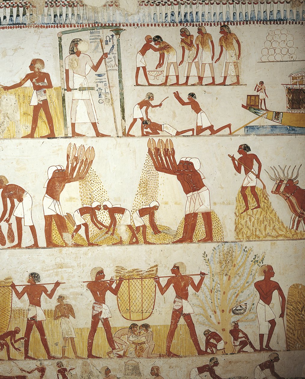 Egipto, Tebas, Luxor, Sheikh 