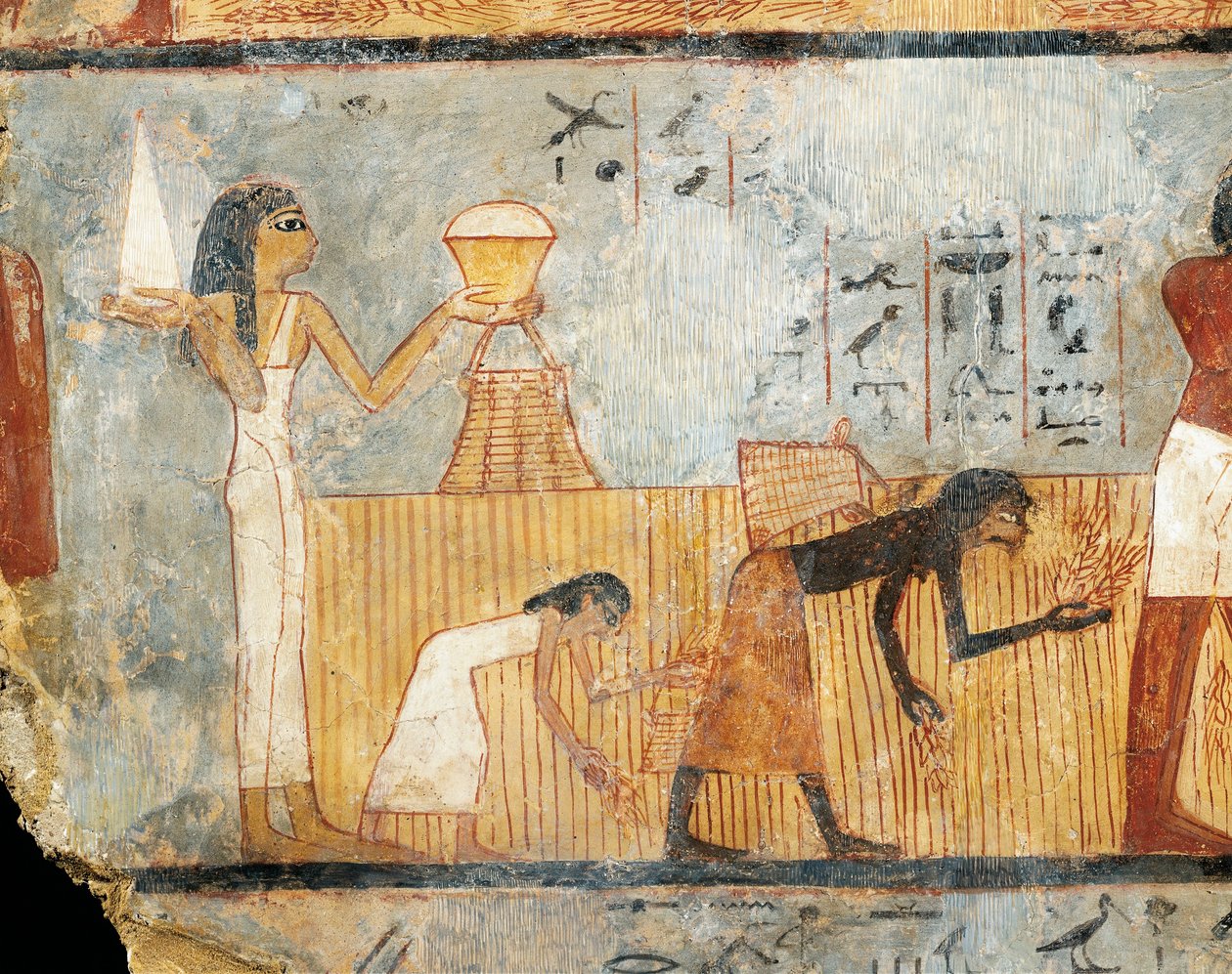 Egipto, Tebas, Túmulo de Unsu, Mulher a levar comida aos trabalhadores do campo, pintura mural de Egyptian 18th Dynasty