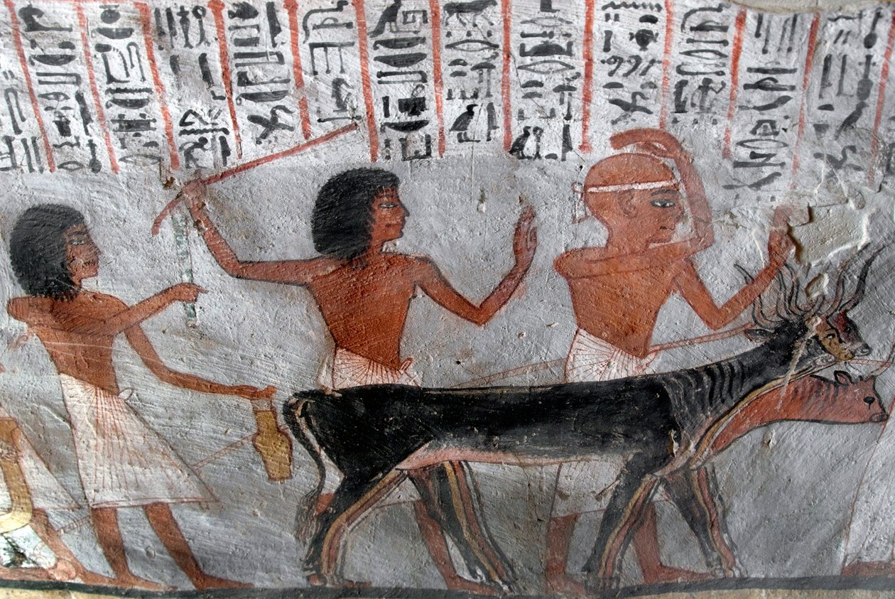 Antiquite egípcio: personagens que lideram cabeças de rabo de cauda. Pintura da Tumba de Roy (TT255). 18ª dinastia. Da Cisjordânia de Luxor, Egipto. de Egyptian 18th Dynasty