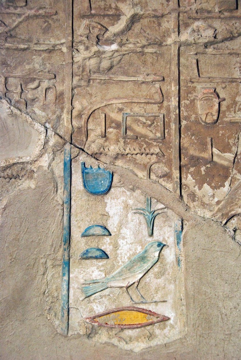 Antiquite egípcia: hyeroglifos coloridos. Túmulo de Kherouef (TT192) (18ª Dinastia de Egyptian 18th Dynasty