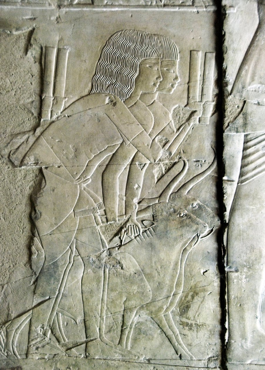 Antiquite egípcio: conecta desde o túmulo de Kha em Het (Khaemhat) inspetor de sótãos e escriba à corte de Amenophis III (TT57) representando homens oferecendo cabeças de beterraba como oferenda. 18ª dinastia. 1530-1290 AC. Vallee des Nobles. Luxor, Cisjor de Egyptian 18th Dynasty