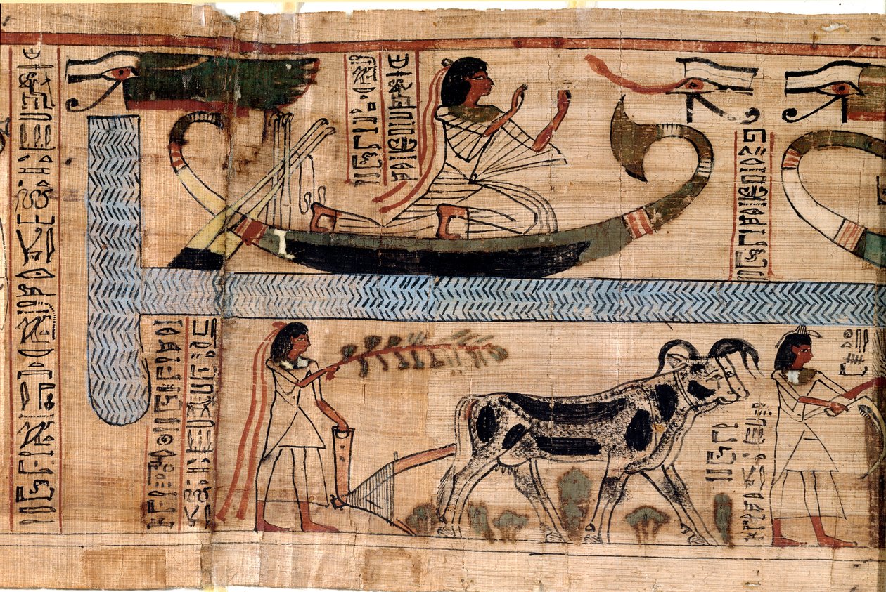 Antiquite egípcia: o nome do falecido Aner representa no barco de Osíris, cena de arado e pesagem de almas (psicostasia). Papiro de um Livro dos Mortos, 20ª dinastia, de Tebas. Turim, musee egípcio - Antigo Egito: o nome dos enganos de Egyptian 18th Dynasty