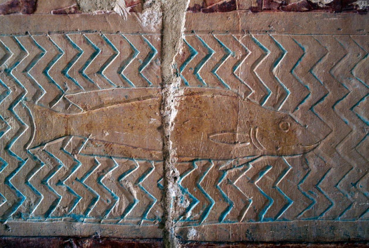 Peixes, cenas do reino de Punt, parede sul da colunata central, Templo Mortuário de Hatshepsut, Deir el-Bahari, Necrópole Tebana (Lista do Património Mundial da UNESCO de Egyptian 18th Dynasty