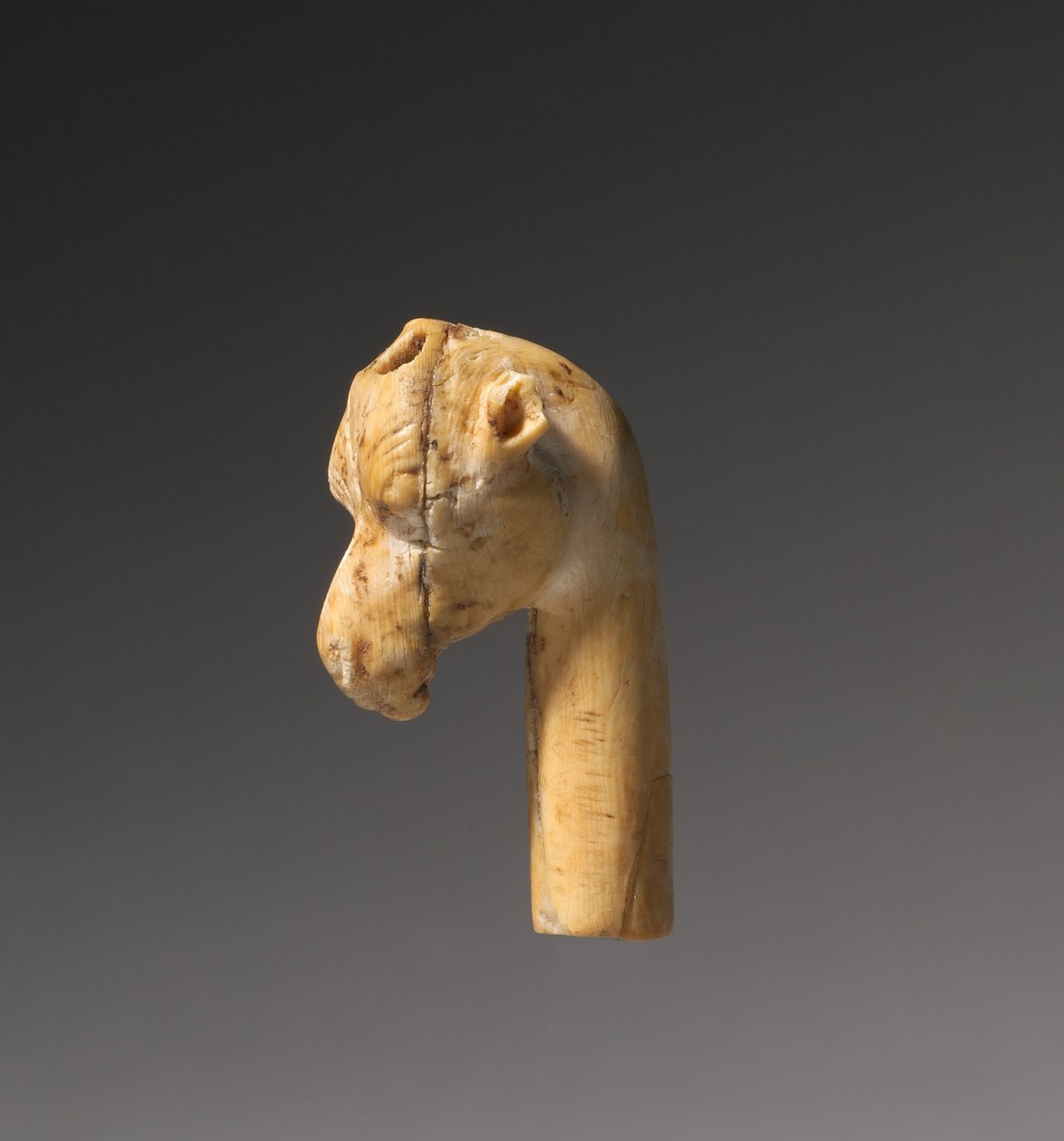 Cabeça de girafa, c.1540-1296 aC de Egyptian 18th Dynasty