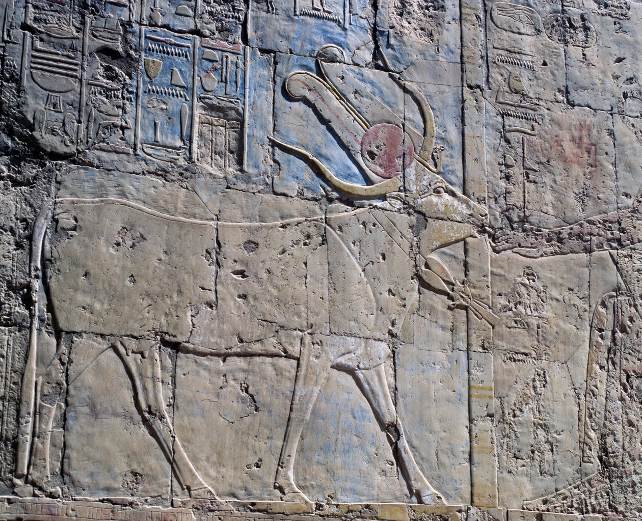 Deusa Hathor em forma de vaca sagrada, relevo pintado, Capela de Hathor, Templo Mortuário da Rainha Hatshepsut, também conhecido como Djeser-Djeseru, Deir el-Bahri, Tebas (Lista do Património Mundial da Unesco de Egyptian 18th Dynasty