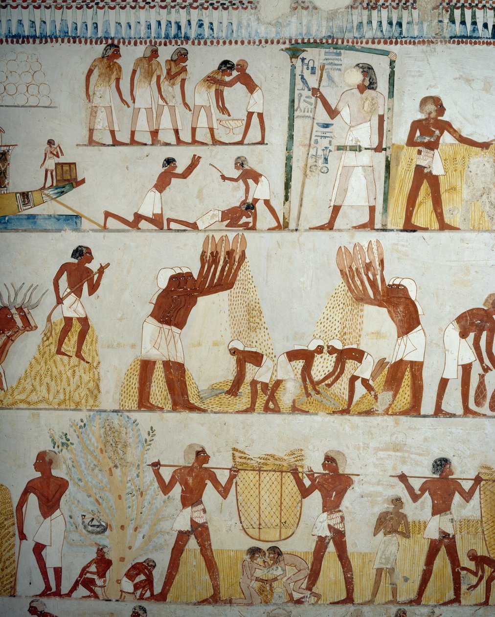 Colheita, debulha e neve de grãos, detalhe de afrescos no vestíbulo do Túmulo de Menna, Sheikh Abd el Qurnah Necropolis, Luxor, Tebas (Lista do Patrimônio Mundial da Unesco de Egyptian 18th Dynasty