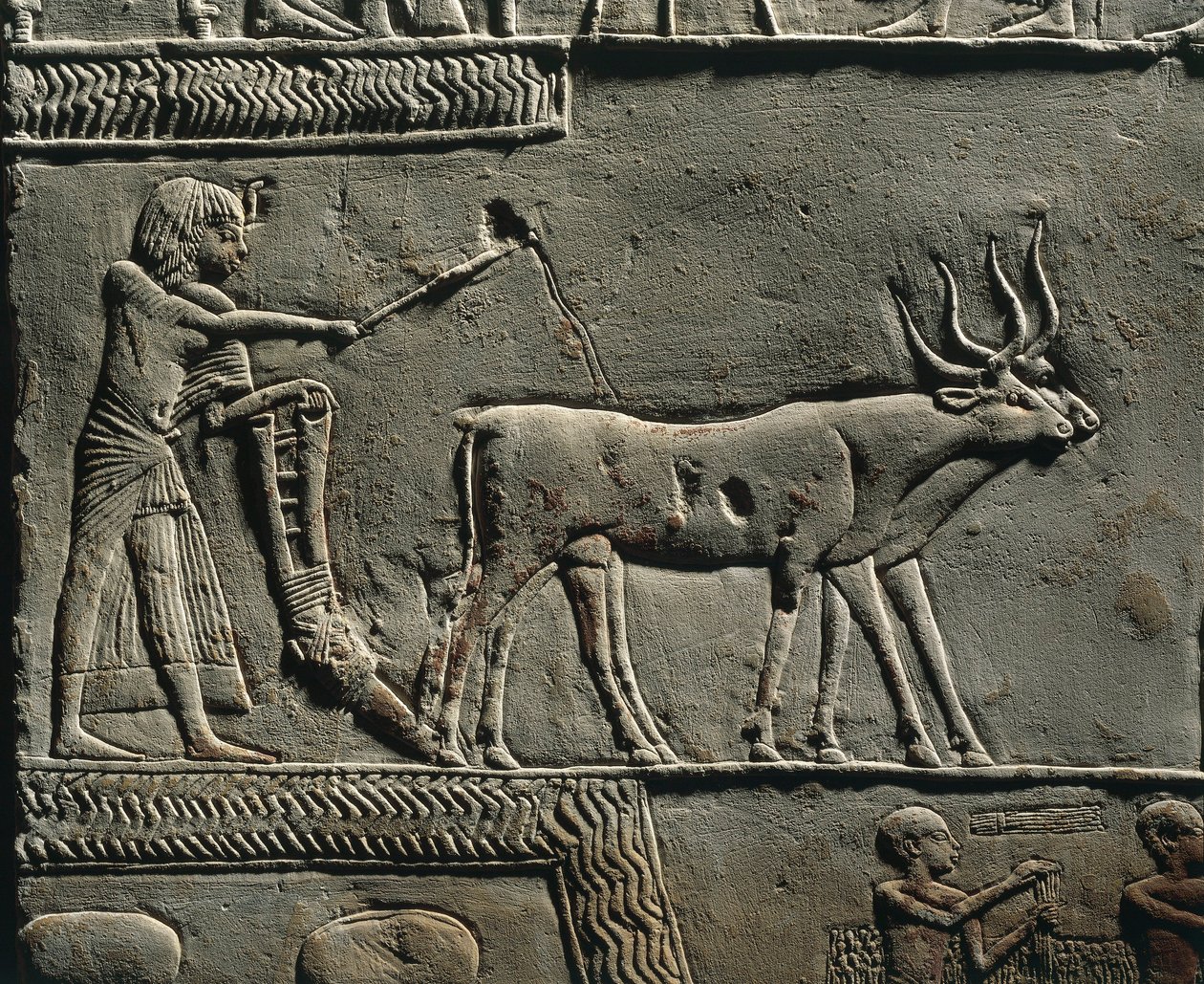 Horemheb a lavrar a terra nos Campos de Iaru. Relevo do túmulo de Horemheb em Saqqara, pormenor. de Egyptian 18th Dynasty