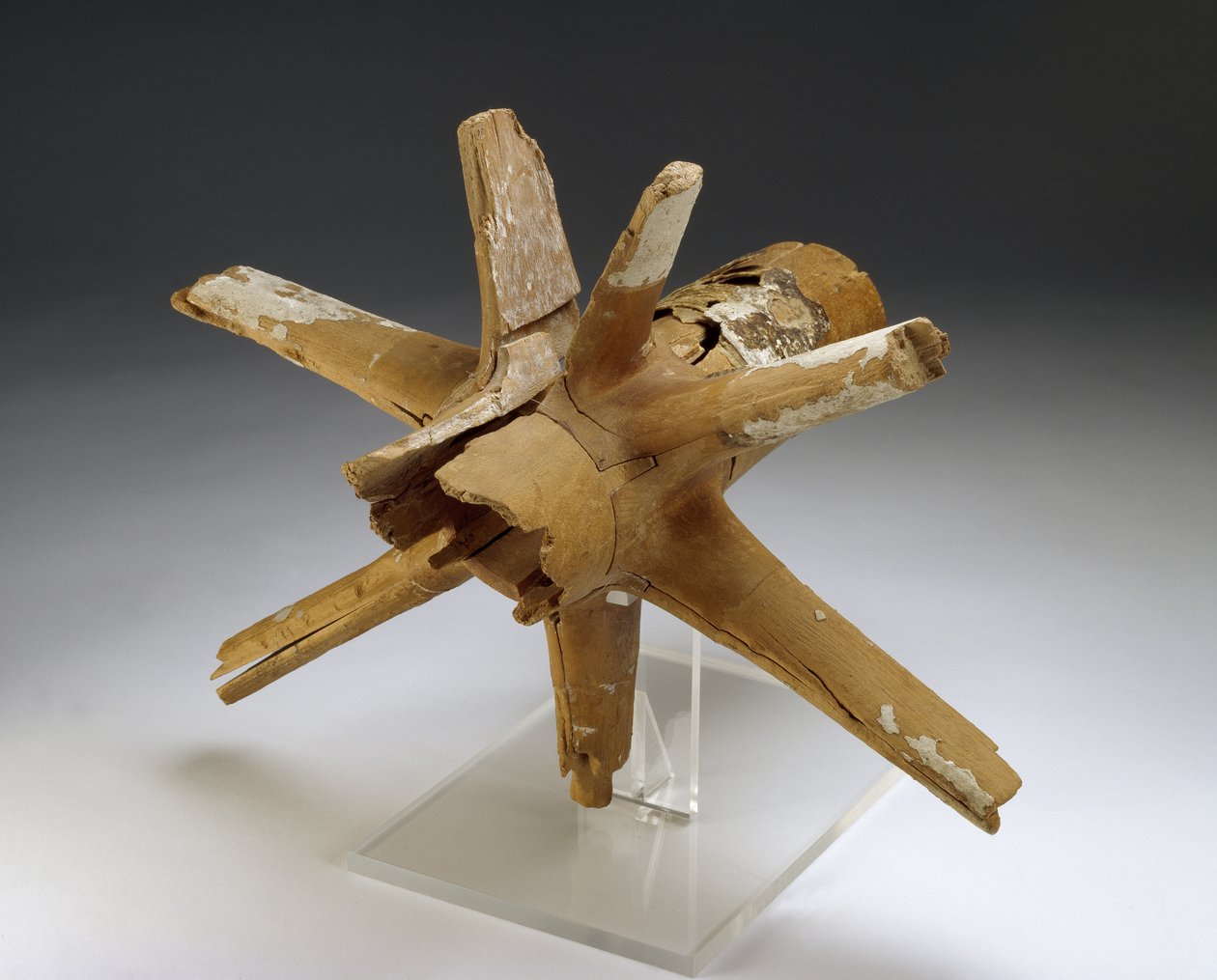 Hub e raios de roda de carruagem (elm & tamarix madeira com gesso e rawhide binding) de Egyptian 18th Dynasty