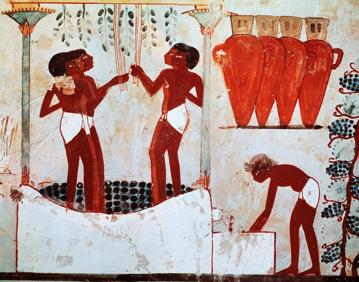 Ilustração do quotidiano rural : depena de galinhas e vindimas, provenientes do túmulo de Nakht em Tebas de Egyptian 18th Dynasty