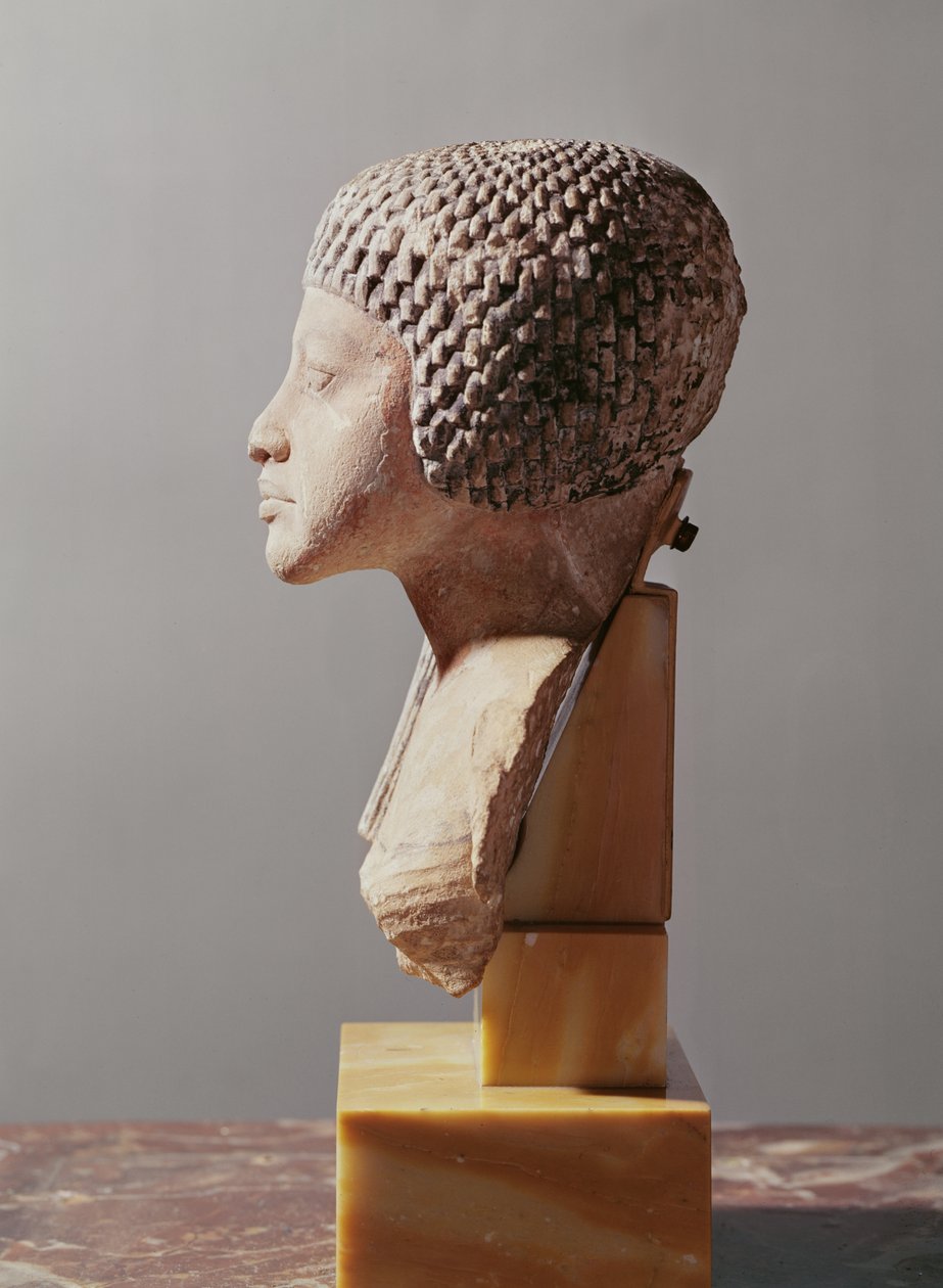 Perfil esquerdo da cabeça de uma princesa da família de Akhenaton, New Kingdom (calcário pintado) (ver também 107940, 116813, 370211) de Egyptian 18th Dynasty