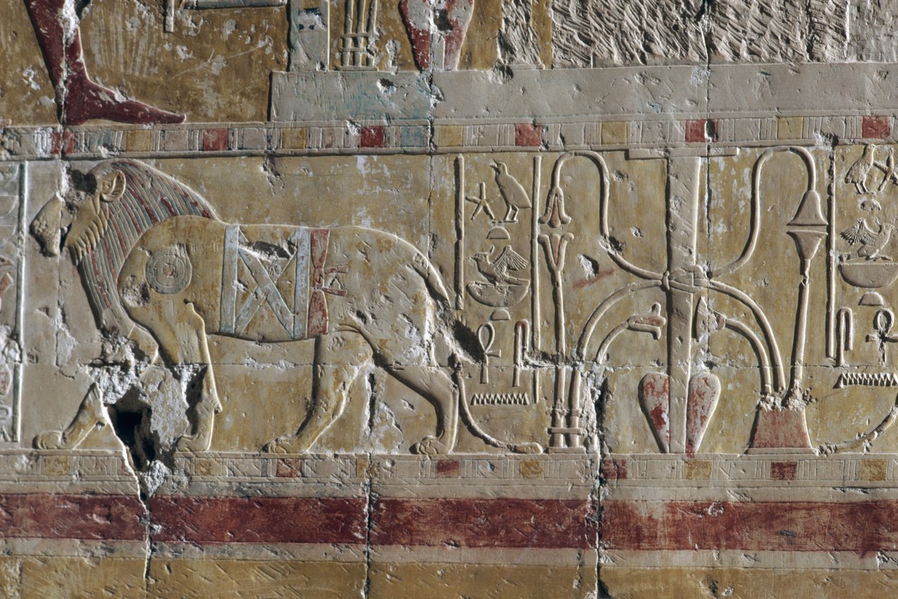 Leão, relevo, mortuário Templo de Hatshepsut, Deir el-Bahari, Necrópole Tebana (Lista do Património Mundial da UNESCO de Egyptian 18th Dynasty