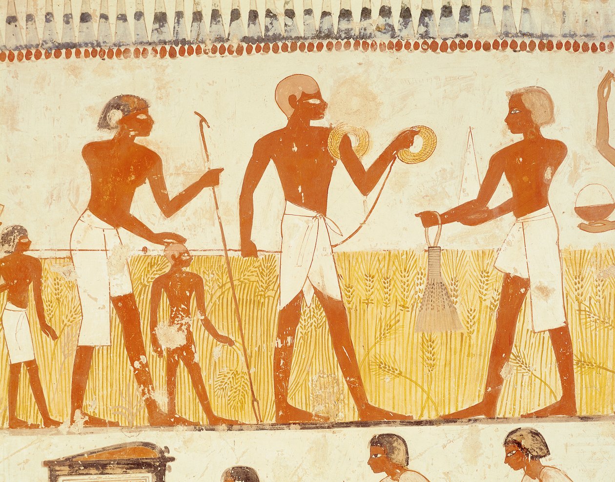 Medindo a terra usando corda, da Capela da Tumba de Menna, New Kingdom (pintura de parede) (veja também 251666) de Egyptian 18th Dynasty