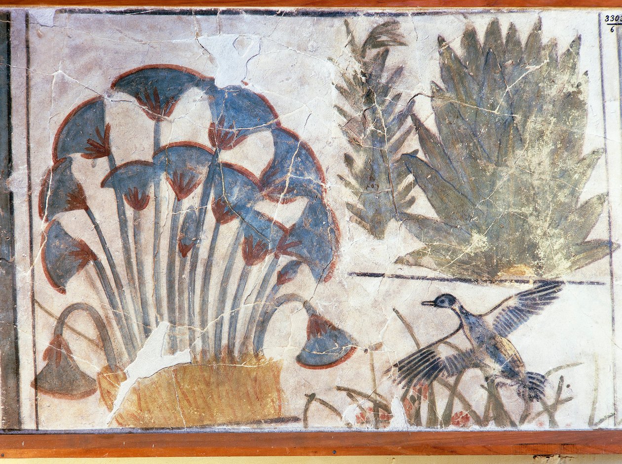 Pintura representando um pato entre plantas, do Palácio de Akhenaton, El-Awara, Egipto de Egyptian 18th Dynasty