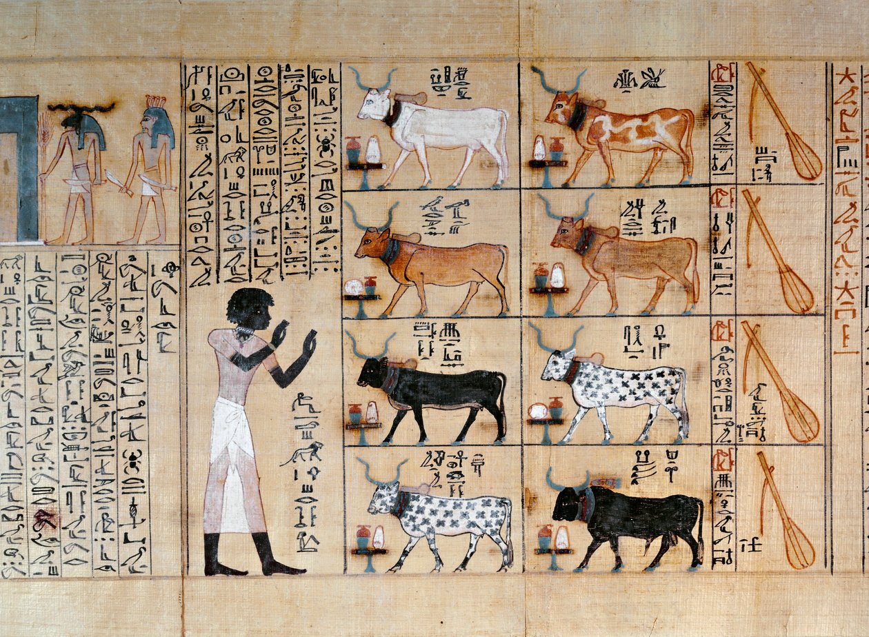 Papiro com representação de bois, do Livro dos Mortos de Maiherperi de Egyptian 18th Dynasty