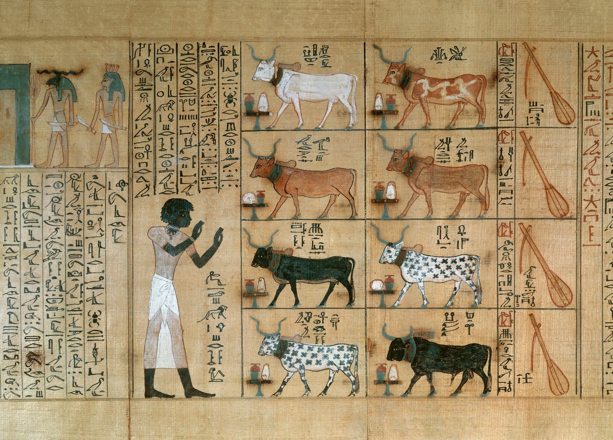 Papiro com representação de bois, do Livro dos Mortos de Maiherperi de Egyptian 18th Dynasty