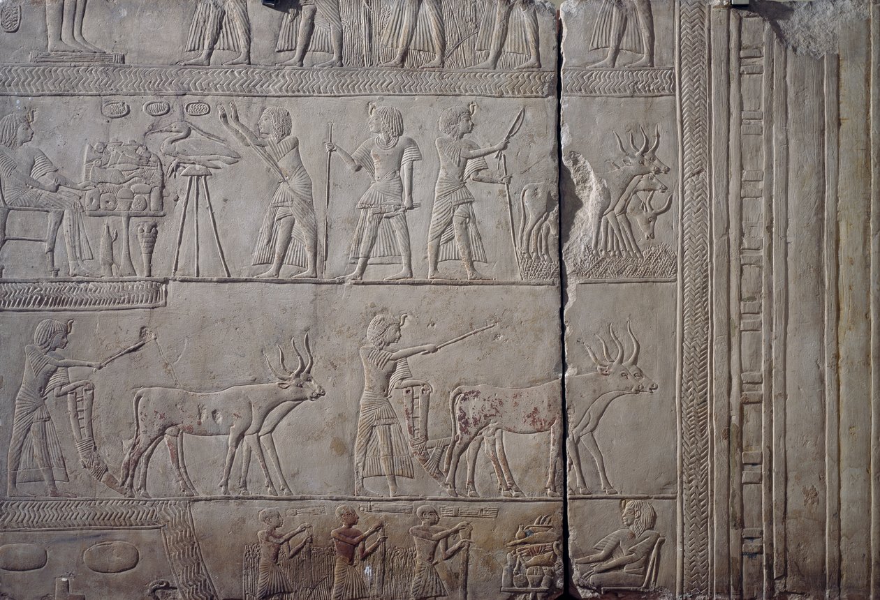 Faraó Horemheb, representado a fazer trabalho agrícola nos campos de Iaru, recebendo a colheita oferecida pelos agricultores, relevo de parede em calcário, do Túmulo Memphite de Horemheb em Saqqara, Civilização Egípcia, Novo Reino, Dinastia XVIII de Egyptian 18th Dynasty