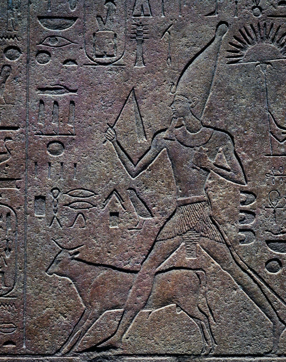 A rainha Hatshepsut acompanhada pelo touro Apis durante as actividades cerimoniais da celebração do jubileu, relevo, Templo de Amon, Complexo do Templo de Karnak (Lista do Património Mundial da Unesco de Egyptian 18th Dynasty
