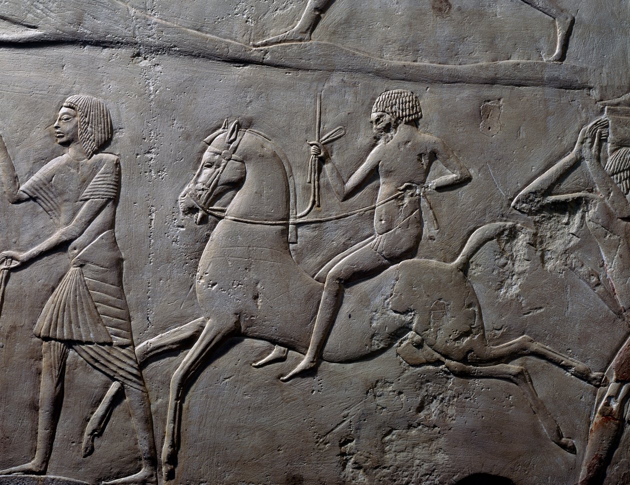 Corrida de estafetas a cavalo, pormenor de um relevo de parede representando um acampamento militar de soldados, calcário, do Túmulo Memphite de Horemheb em Saqqara, Civilização Egípcia, Novo Reino, Dinastia XVIII de Egyptian 18th Dynasty