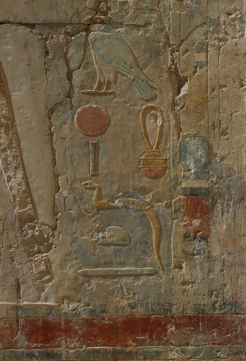 Relevo retratando Horus, capela da deusa Hathor, do Templo Mortuário de Hatshepsut (c.1503-1482 aC) Novo Reino (calcário pintado) de Egyptian 18th Dynasty
