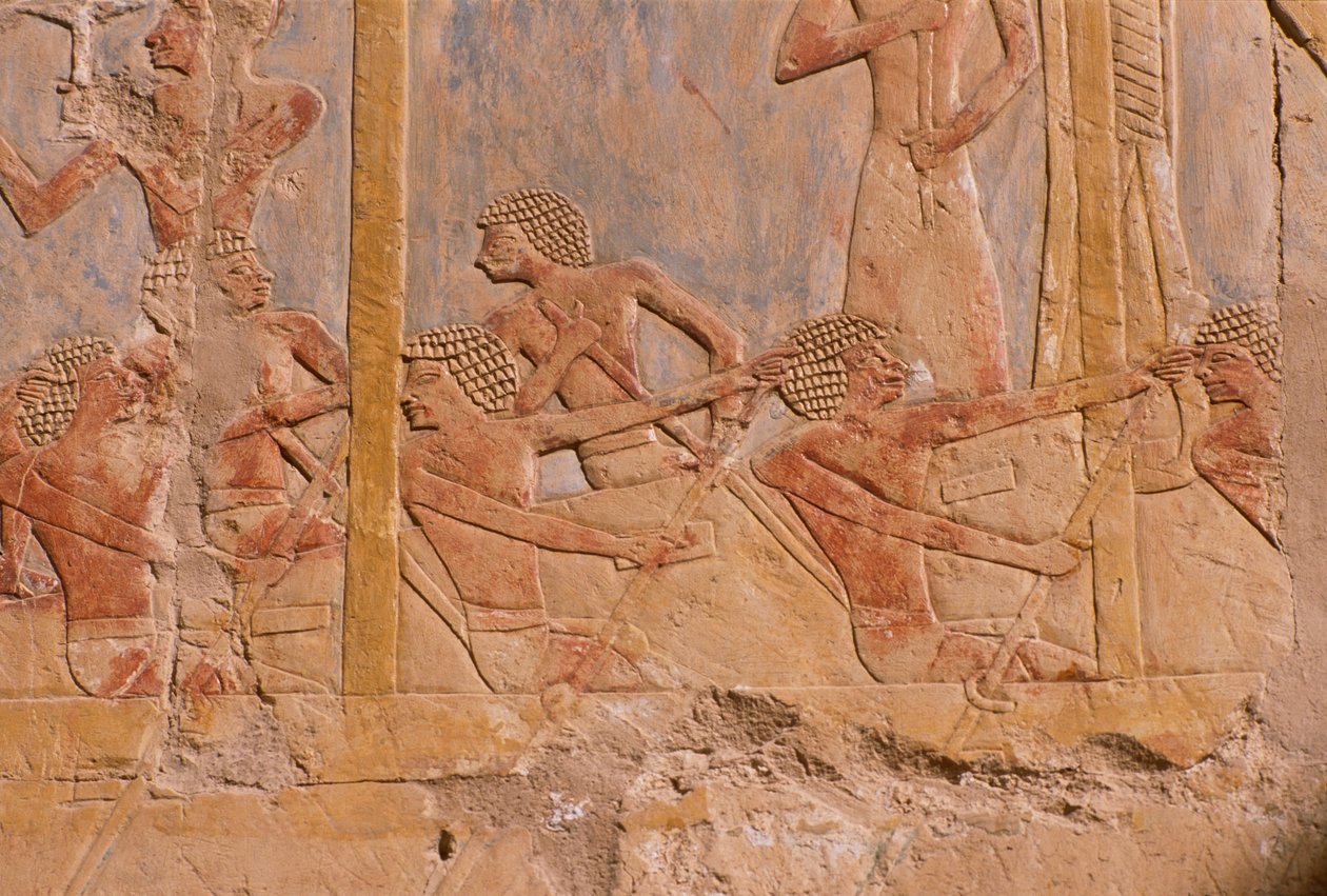 Relief retratando homens remando em um barco, parede decorada em honra da deusa Hathor, detalhe, do Templo Mortuário de Hatshepsut (c.1503-1482 aC) New Kingdom (calcário pintado) de Egyptian 18th Dynasty