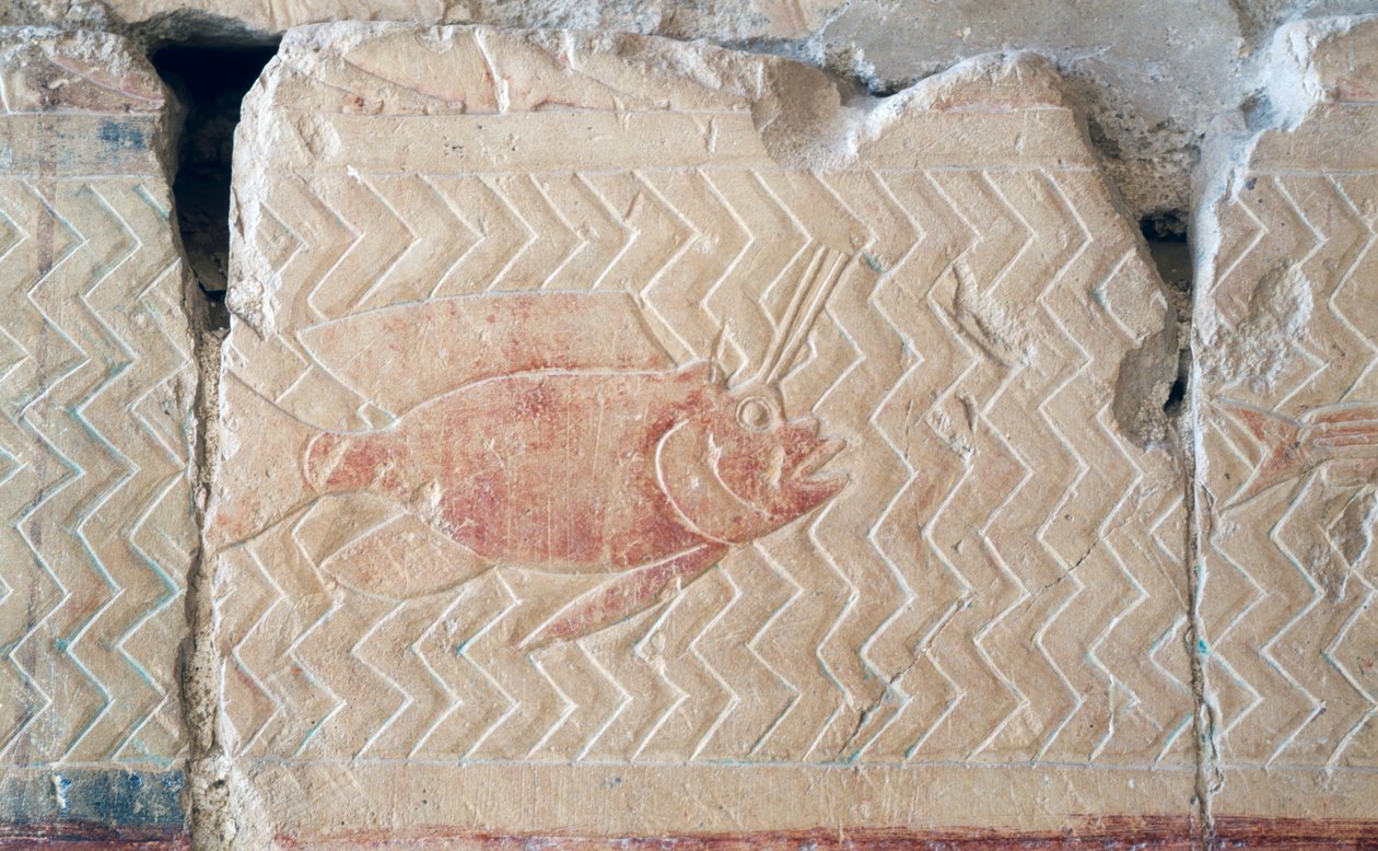 Relevo de um peixe, Templo mortuário de Hatshepsut, Tebas (relevo) de Egyptian 18th Dynasty