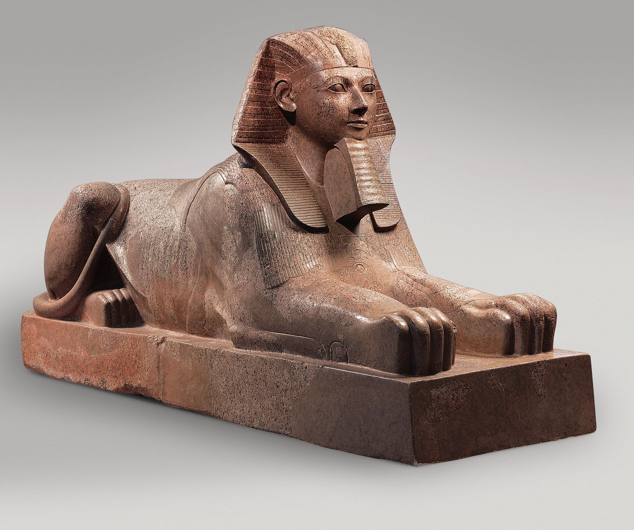 Esfinge de Hatshepsut, c.1479-58 (granito, tinta) de Egyptian 18th Dynasty