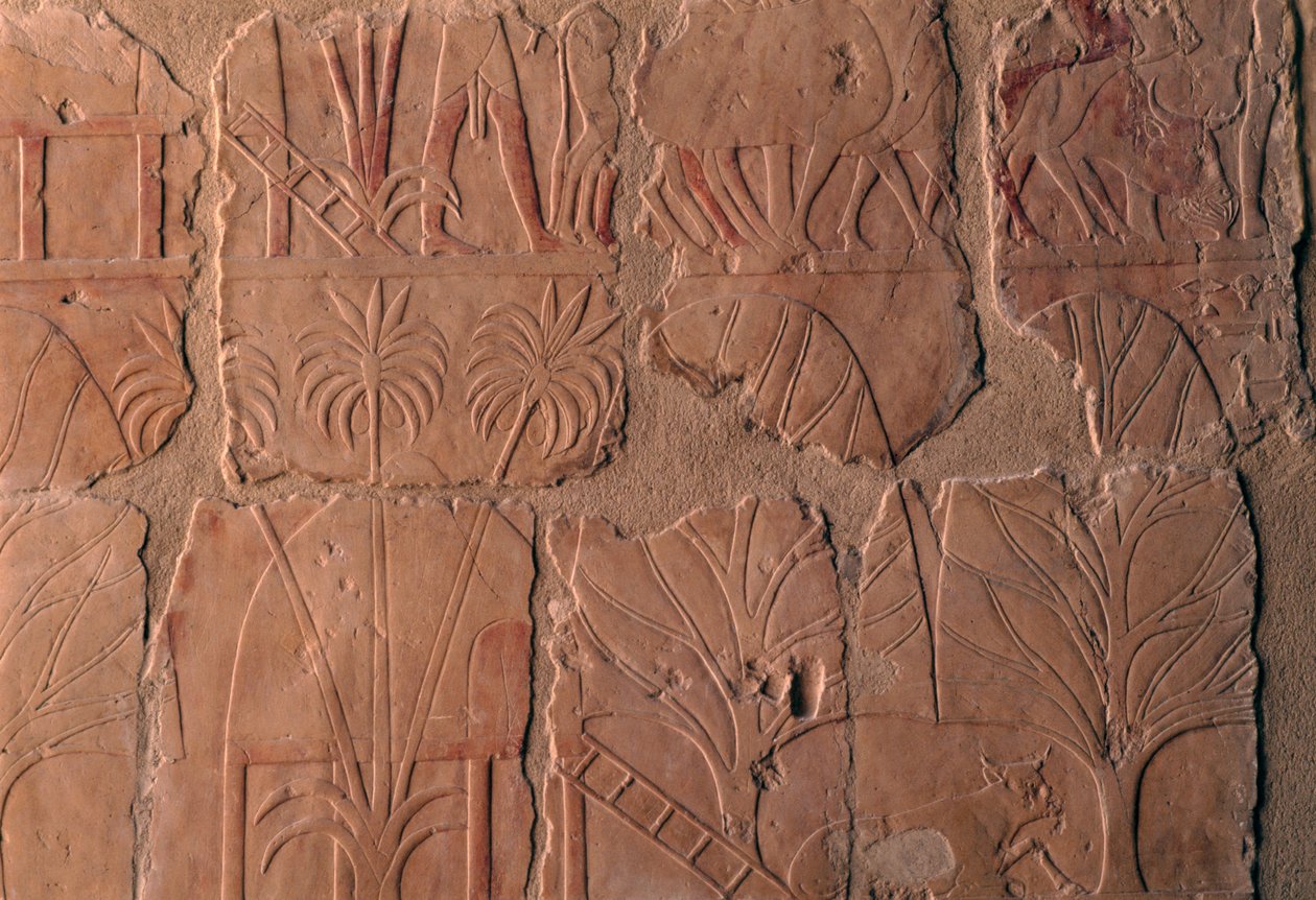 Aldeia com cabanas, cenas do reino de Punt, parede sul da colunata central, Templo Mortuário de Hatshepsut, Deir el-Bahari, Necrópole Tebana (Património Mundial da UNESCO de Egyptian 18th Dynasty