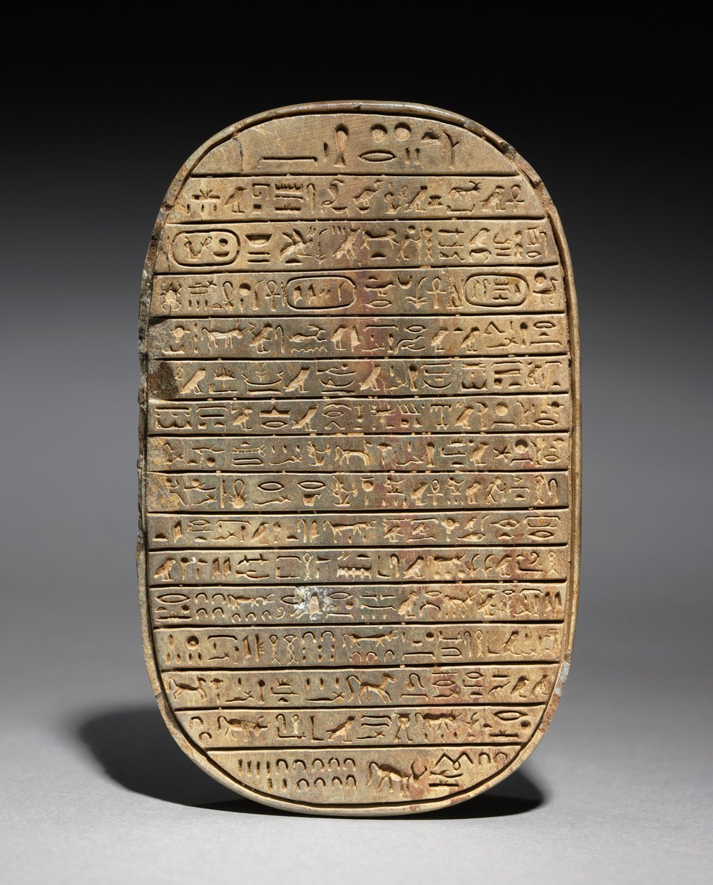 Escaravelho selvagem da caça de touro de Amenhotep III, c.1391-1353 BC de Egyptian 18th Dynasty