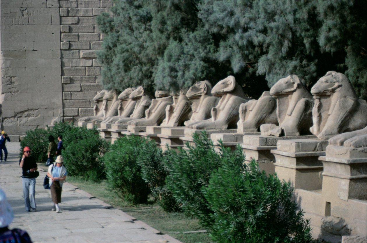 Avenida das esfinges com cabeça de carneiro que revestem o Caminho Processacional do Grande Templo de Amon, Novo Reino de Egyptian 19th Dynasty