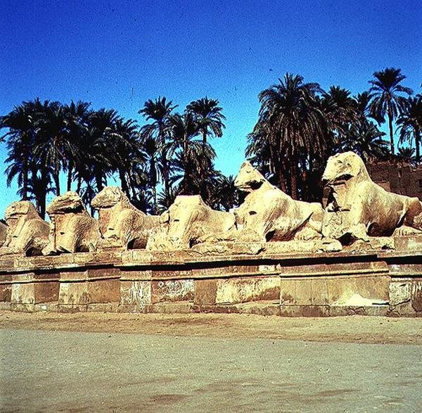 Avenida das esfinges com cabeça de carneiro que revestem o Caminho Processacional do Grande Templo de Amon, Novo Reino de Egyptian 19th Dynasty