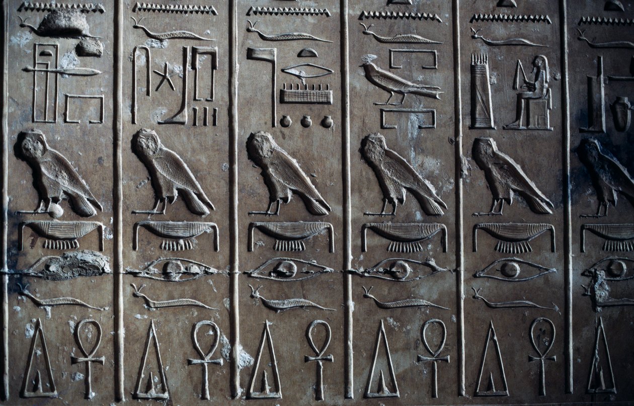 Baixo-relevo com relevos hieroglíficos representando o deus Hórus em forma de falcão e ankh, símbolo da vida, Templo de Seti I, ou Grande Templo de Abydos, Abydos, Egipto, civilização egípcia, Novo Reino, Dinastia XIX de Egyptian 19th Dynasty