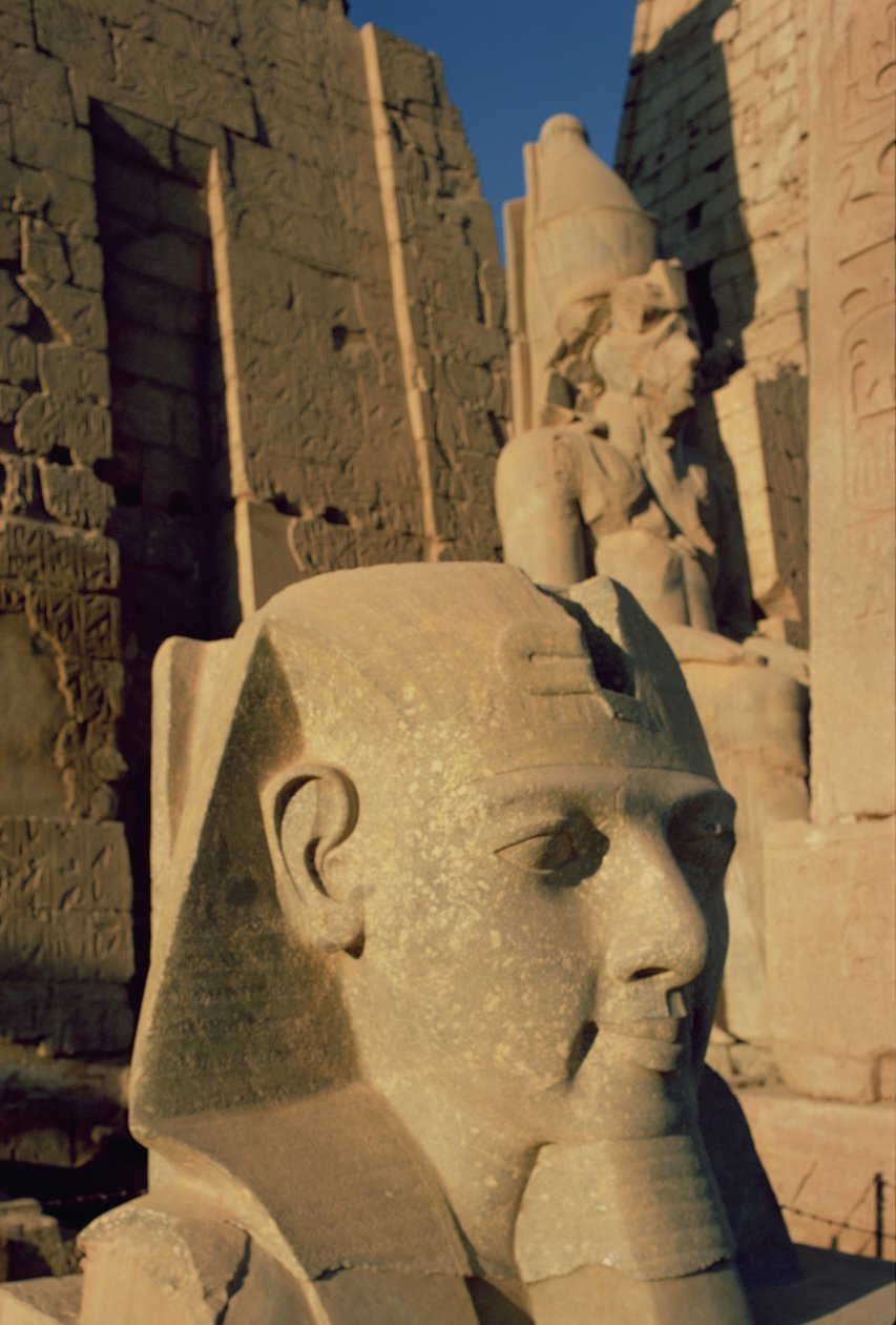Cabeça colossal de Ramsés II (1298-32 aC) Novo Reino de Egyptian 19th Dynasty