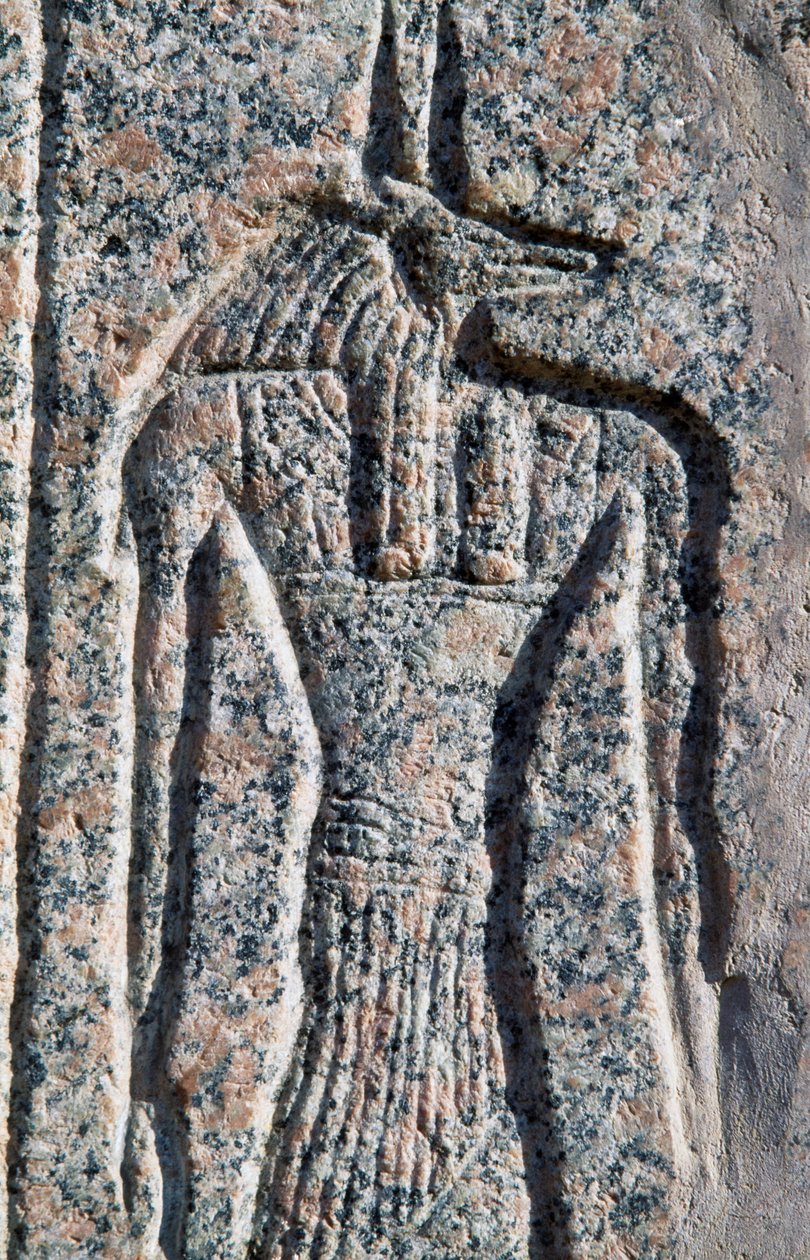 Representação de Anúbis, pormenor da inscrição e relevo de Anúbis e outro deus, sarcófago de Amenhotep, Mênfis (Lista do Património Mundial da Unesco de Egyptian 19th Dynasty