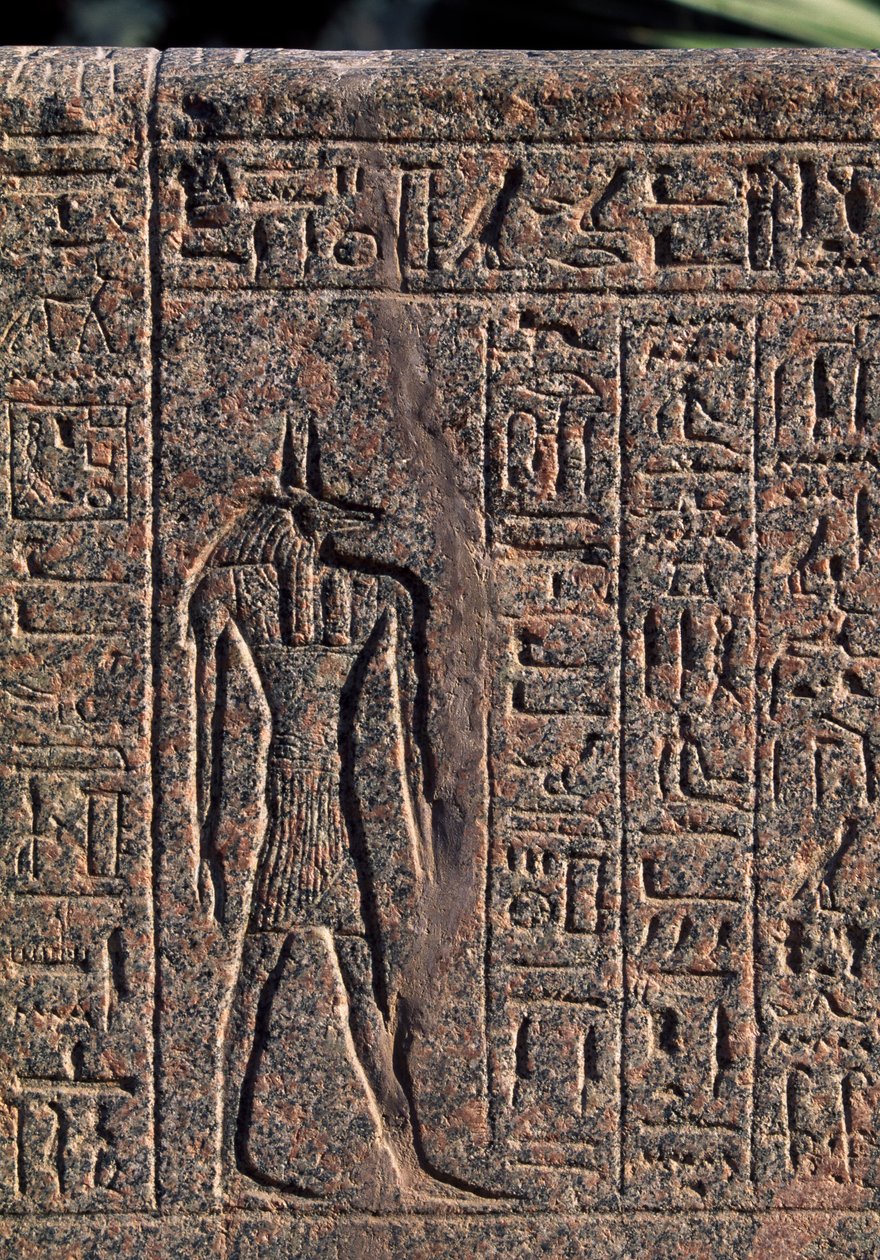 Representação de Anúbis, pormenor da inscrição e relevo de Anúbis e outro deus, sarcófago de Amenhotep, Mênfis (Lista do Património Mundial da Unesco de Egyptian 19th Dynasty