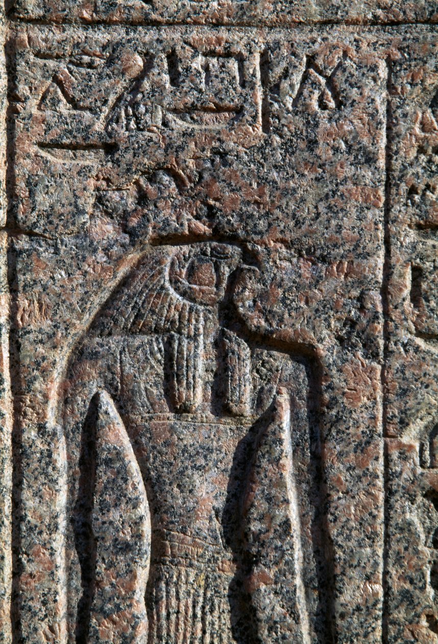 Representação de Hórus, inscrição e relevo de Hórus e Toth, sarcófago de Amenhotep, Mênfis, Egipto, Novo Reino, Dinastia XIX de Egyptian 19th Dynasty