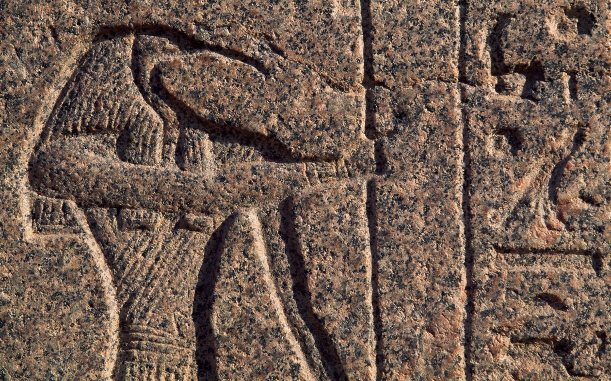 Representação de Thoth, pormenor da inscrição e relevo de Thoth e Hórus, sarcófago de Amenhotep, Mênfis (Lista do Património Mundial da Unesco de Egyptian 19th Dynasty