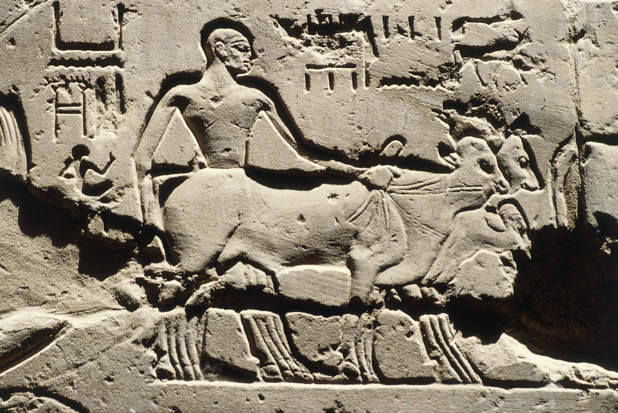 Egito Antigo, Luxor, Templo de Luxor, Pátio de Ramsés II, relevo, Novo Reino, Dinastia XIX (1290-1224 a.C.) de Egyptian 19th Dynasty