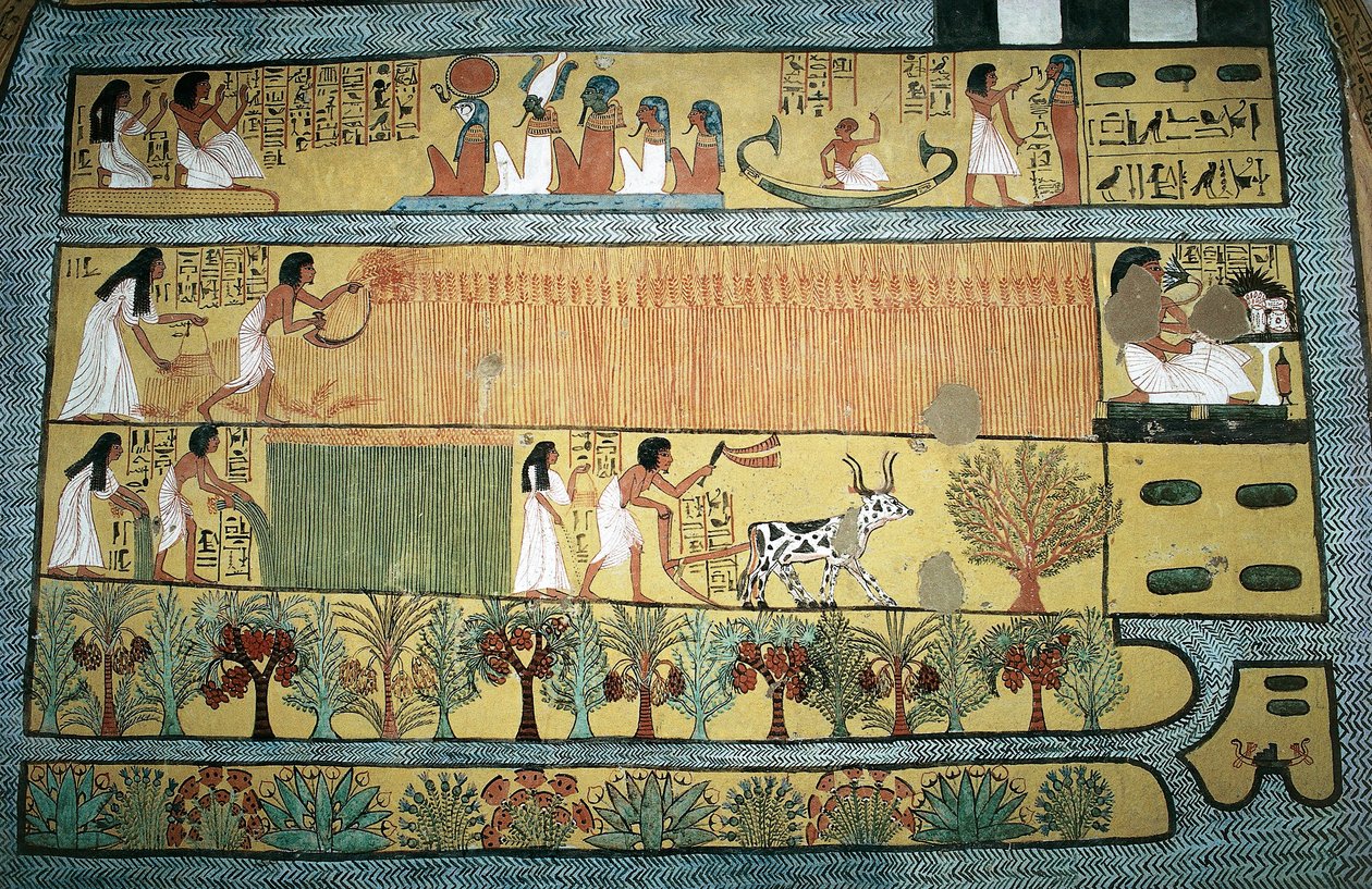 Egipto, Tebas, aldeia dos trabalhadores do Estado em Dayr al-Madinah (Deir el-Medina), túmulo de Sennedjem, fresco representando cenas agrícolas nos campos de Ialu, Novo Reino, Dinastia XIX de Egyptian 19th Dynasty
