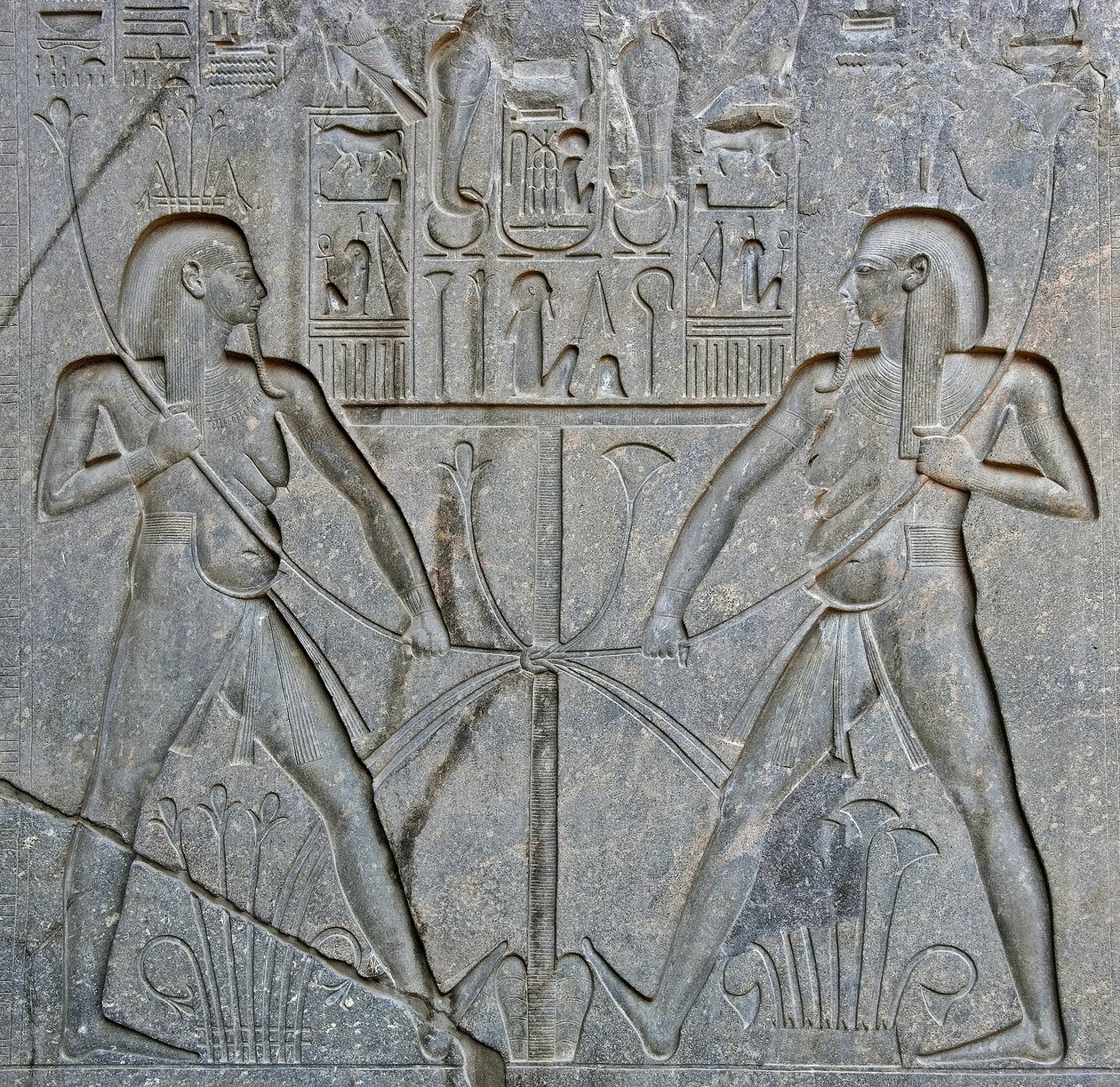 Antiquite egípcio: detalhe da base da estátua do Faraó Ramsés II (1292-1186 AC) representando a união do Alto e do Baixo Egipto. Templo de Luxor. East Bank (Tebas), Egito. de Egyptian 19th Dynasty